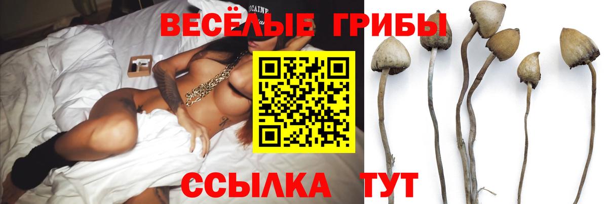наркотики  Псилоцибиновые грибы прущие грибы  Вход с VPN  Качканар  Псилоцибиновые грибы мицелий 