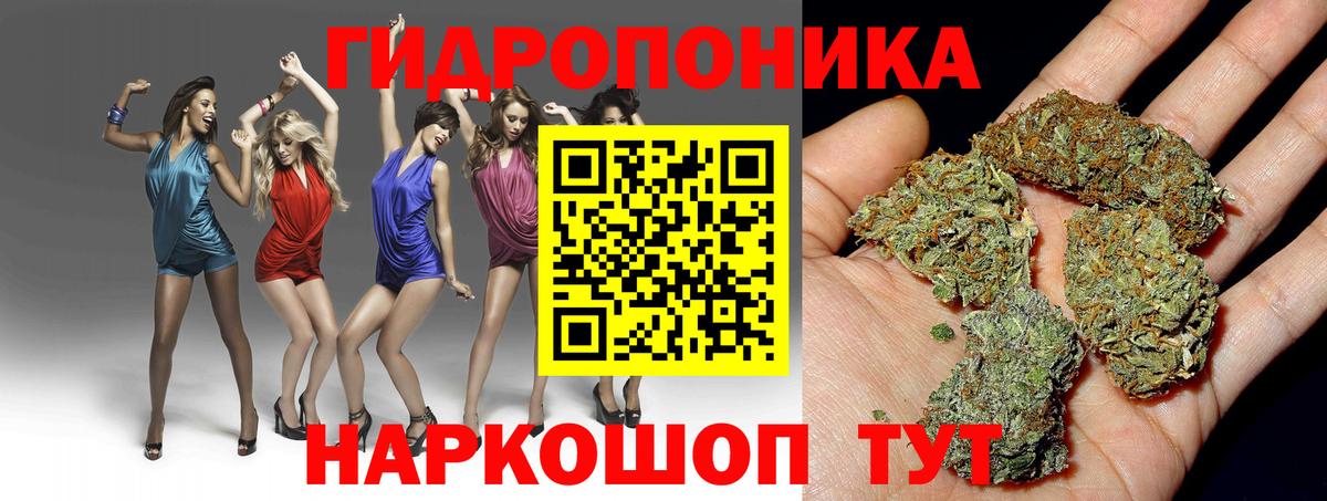 МАРИХУАНА THC 21%  Канабис план  МАРИХУАНА MAZAR  Вход с VPN  Качканар 